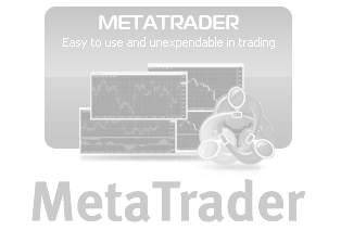 Meta Trader Logo - Weiterleitung!